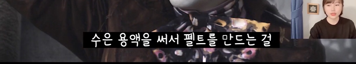 이상한 나라의 앨리스, 모자장수가 미친 이유는? | 인스티즈