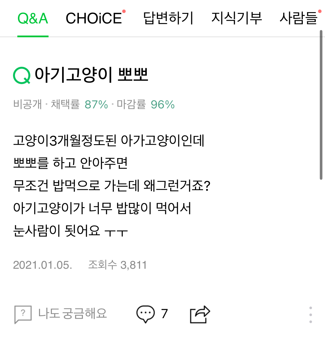 아기고양이 뽀뽀 | 인스티즈