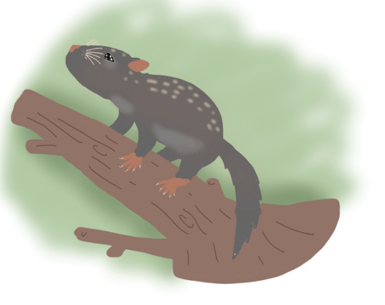 햄스터가 외계행성의 지배자가된 세계관 | 인스티즈