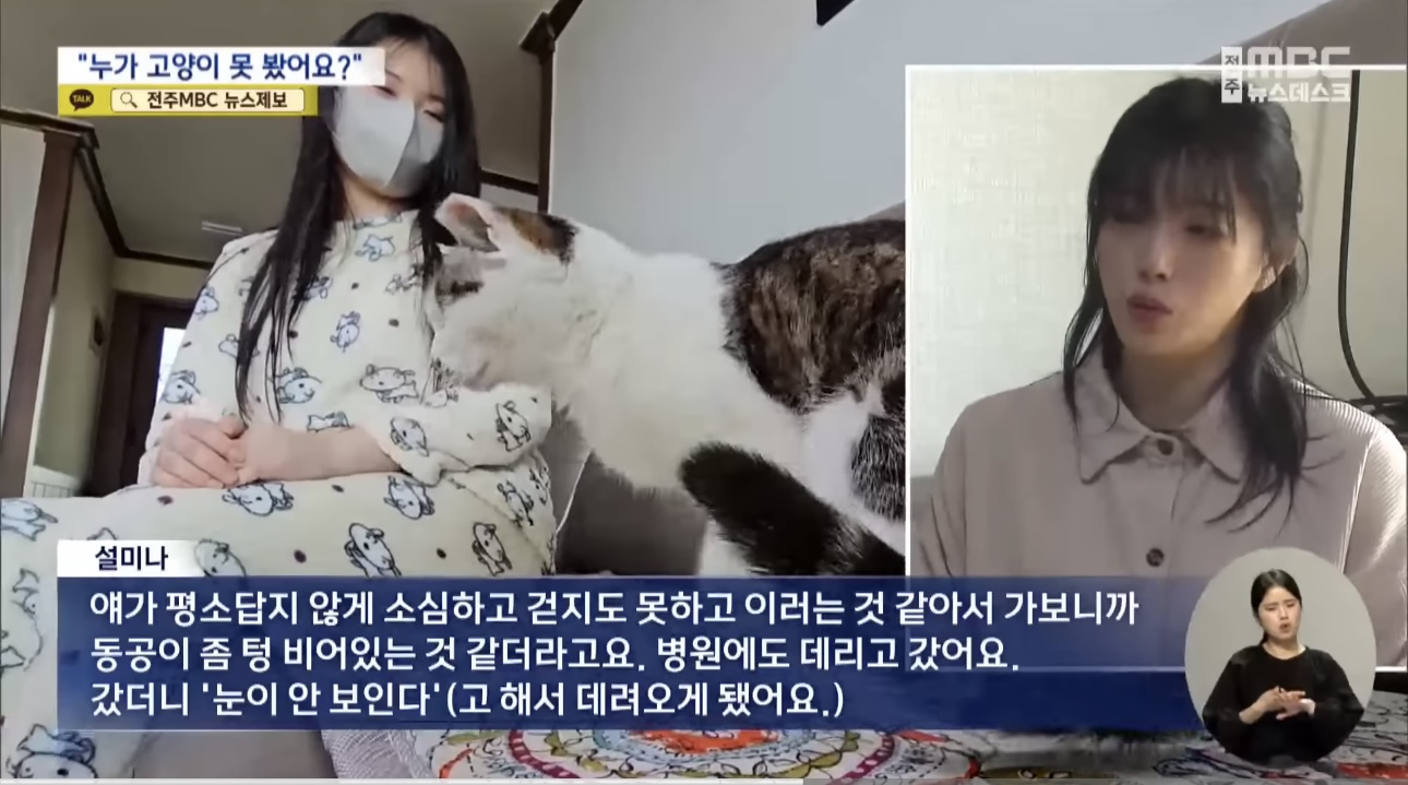 '눈먼 길고양이' 구조작전.. 훈훈한 쪽지 릴레이 | 인스티즈