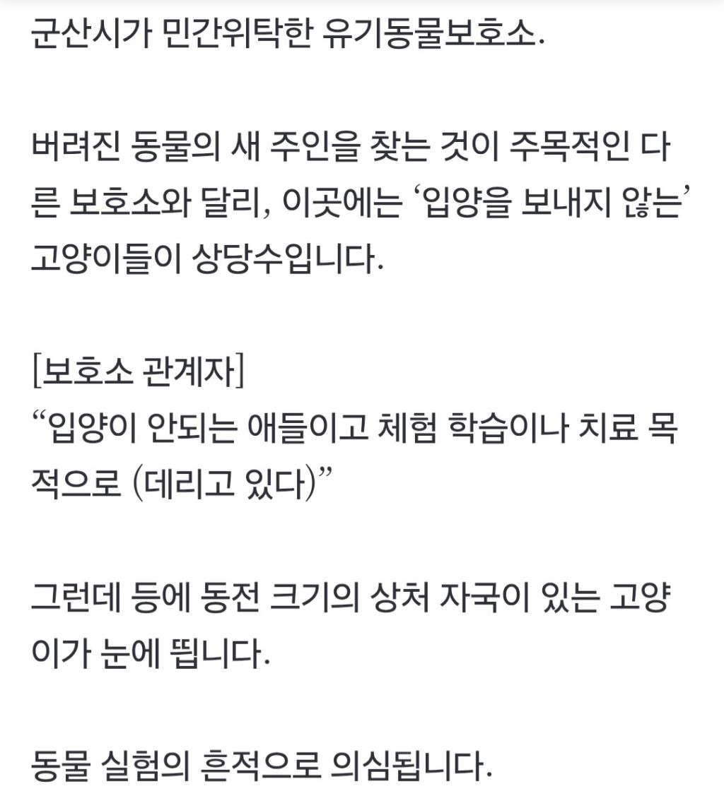 "특정 고양이만 골라갔다" 동물 보호소가 실험동물 공급처? (군산시 보호소) | 인스티즈