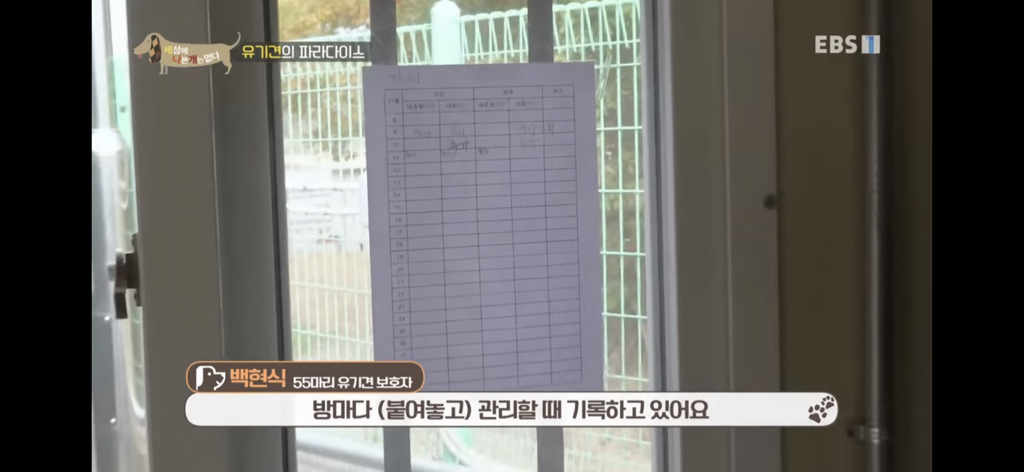 [세상에나쁜개는없다] 유기견의 파라다이스 | 인스티즈