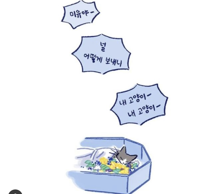 반려동물을 떠나보낸다는 것 | 인스티즈