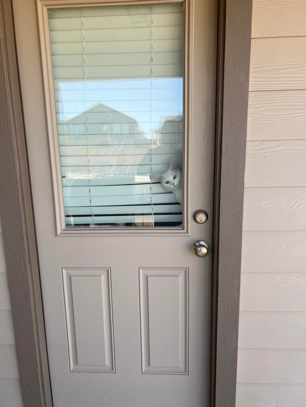 토요일의 고양이를 좋아하세요? | 인스티즈