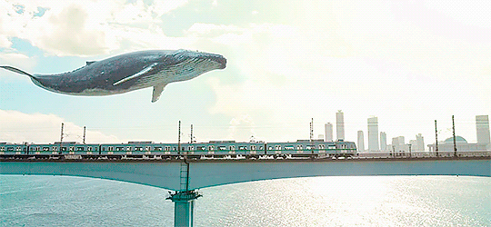 우영우 드라마 속 동화같은 연출장면들 | 인스티즈