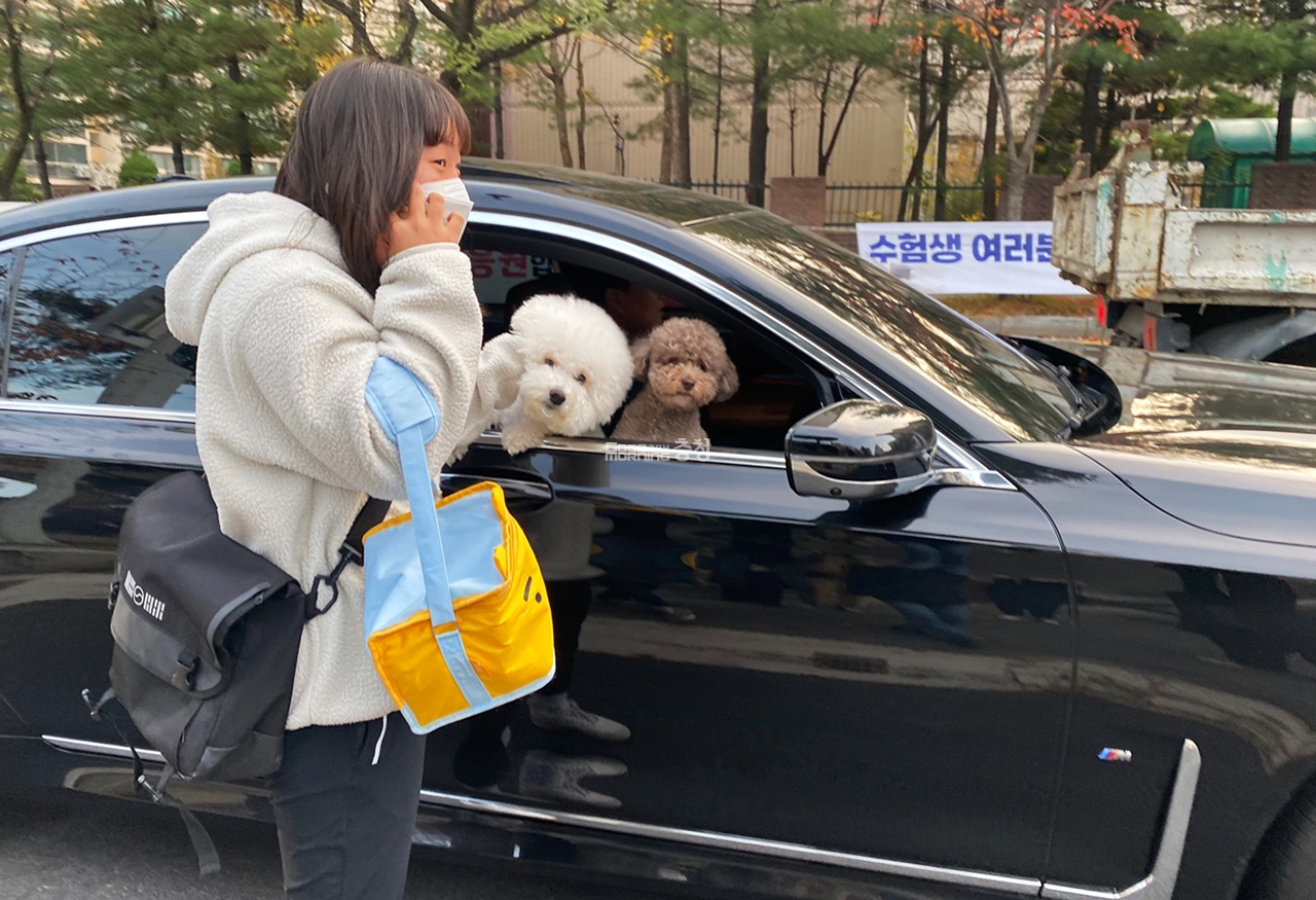 올해도 기대되는 '수능 강아지' 모음 | 인스티즈