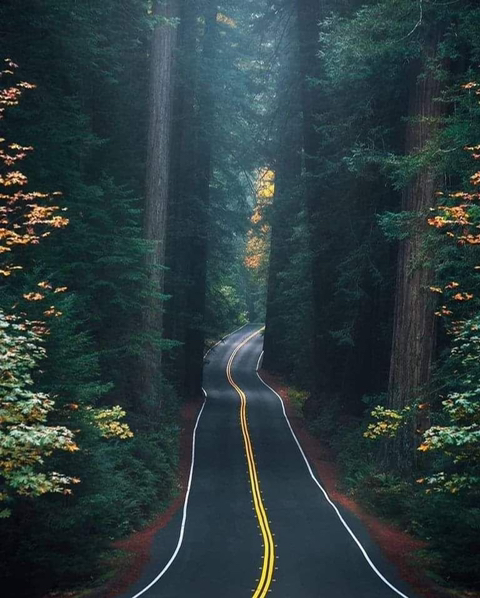 지방분들이 서울 오시면 꼭 들려야하는 곳들 추천 | 인스티즈