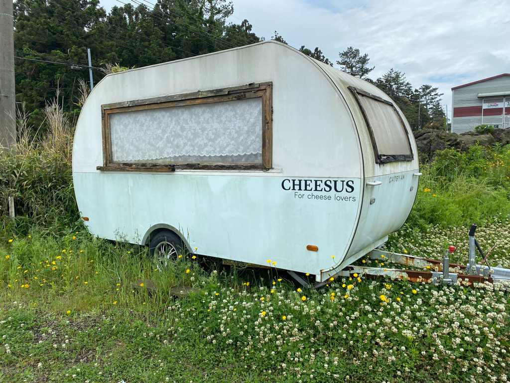 제주 맛집 타래.twt | 인스티즈