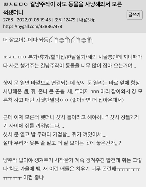 길고양이가 하도 동물을 사냥해와서 모른척 했더니 | 인스티즈