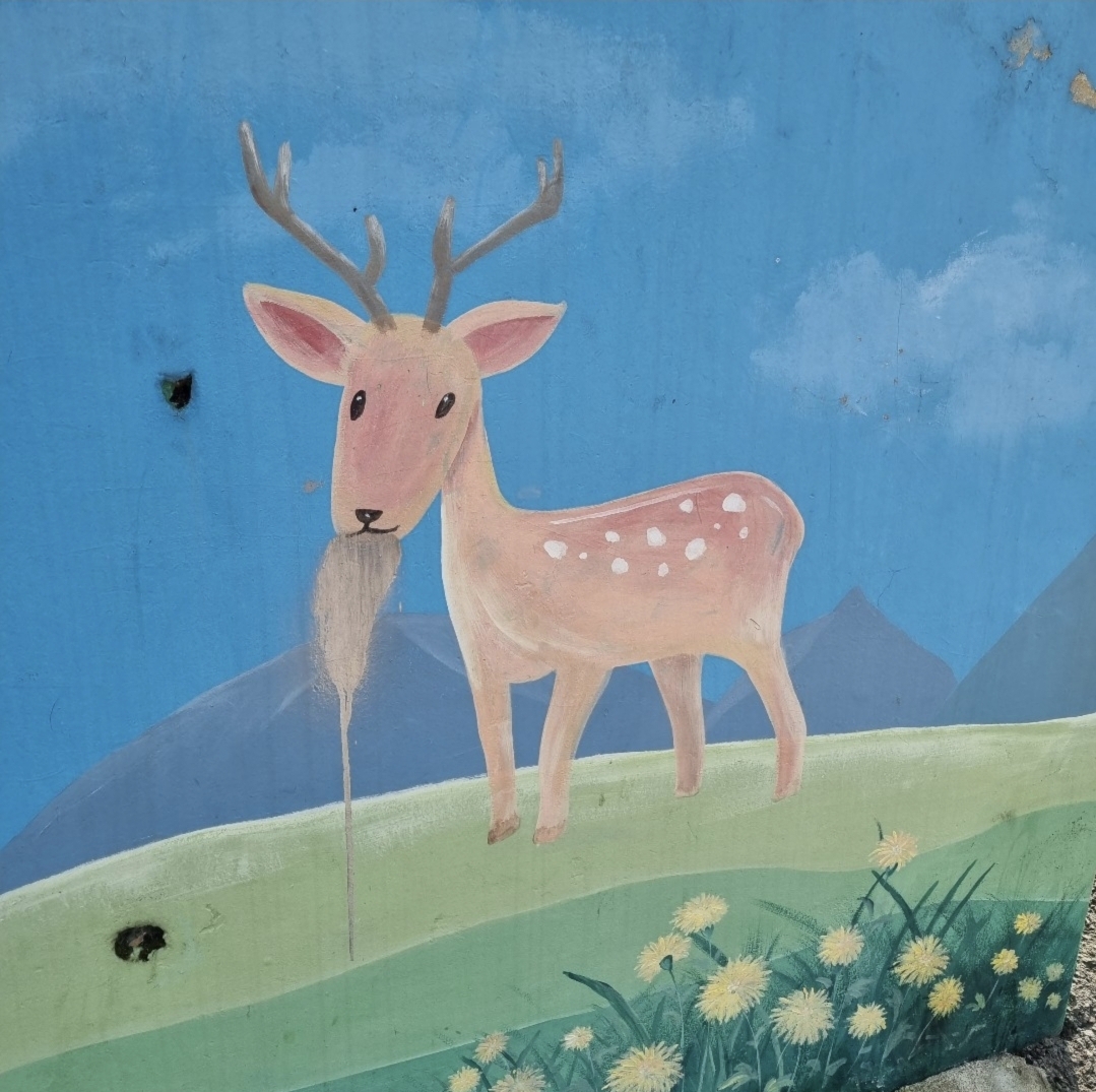 여시 캡쳐 몇개 | 인스티즈