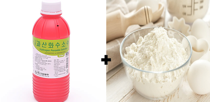 스컹크의 냄새는 방귀가 원인이 아니다 | 인스티즈