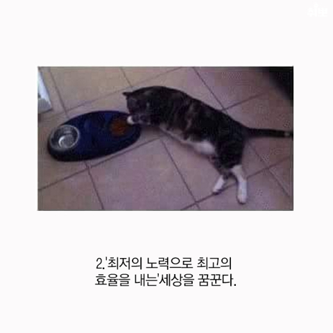 게으른 사람이 일 잘하는 이유 | 인스티즈