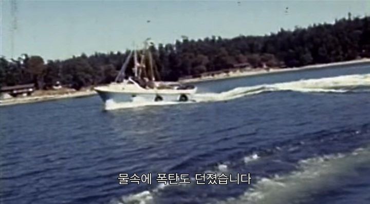 어느날 소방서에 고래가 조련사를 잡아 먹었다는 신고가 들어왔다 .jpg (스압주의) | 인스티즈