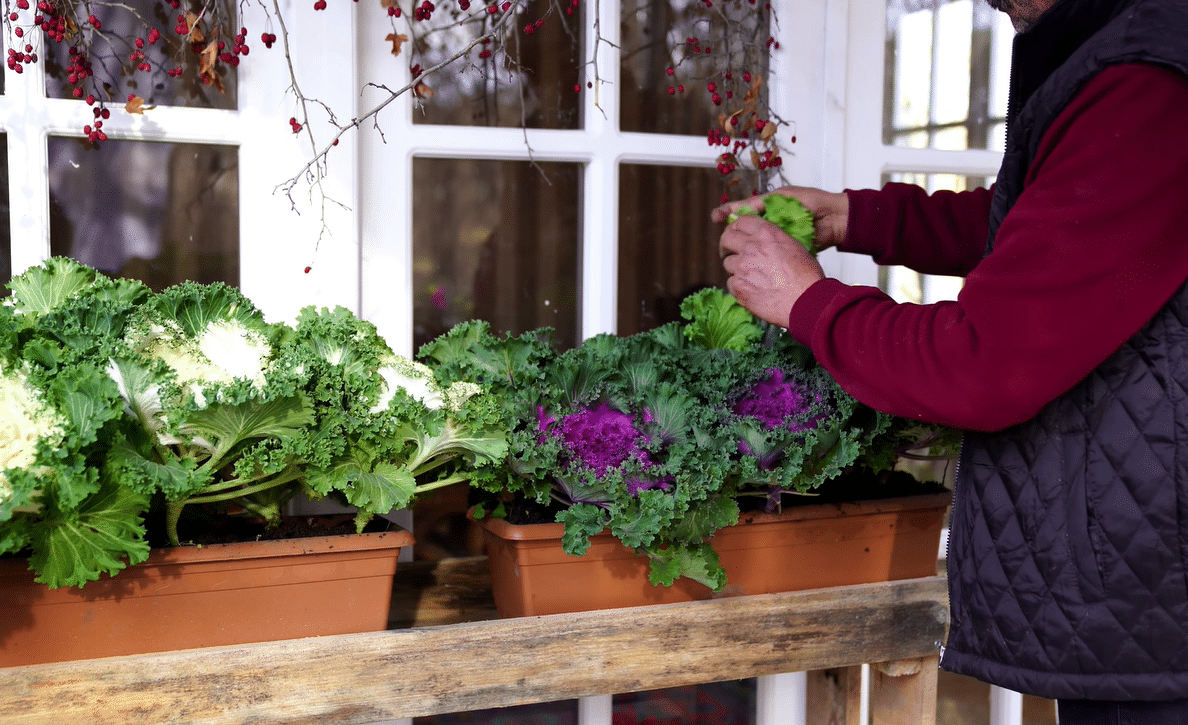 요즘 유튜브에서 은근히 인기 많다는 외국 시골 브이로그...jpg | 인스티즈