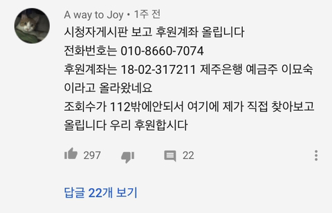 당신이 버린 강아지는 어떻게 되었을까 | 인스티즈