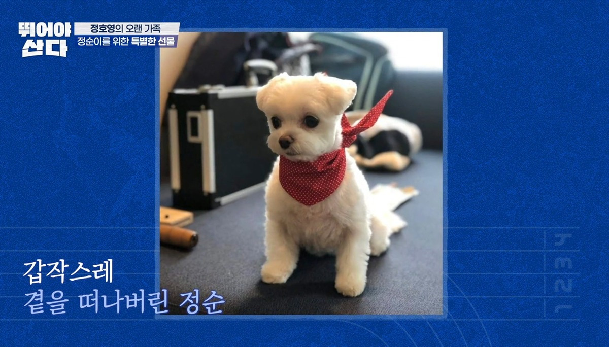 정호영셰프가 눈물을 흘리면서 21km를 완주한 이유 | 인스티즈