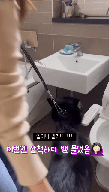 쥐랑 뽀뽀해서 벅벅 씻김 당하던 강아지 이번엔 뱀이랑..ㅋㅋㅋ | 인스티즈