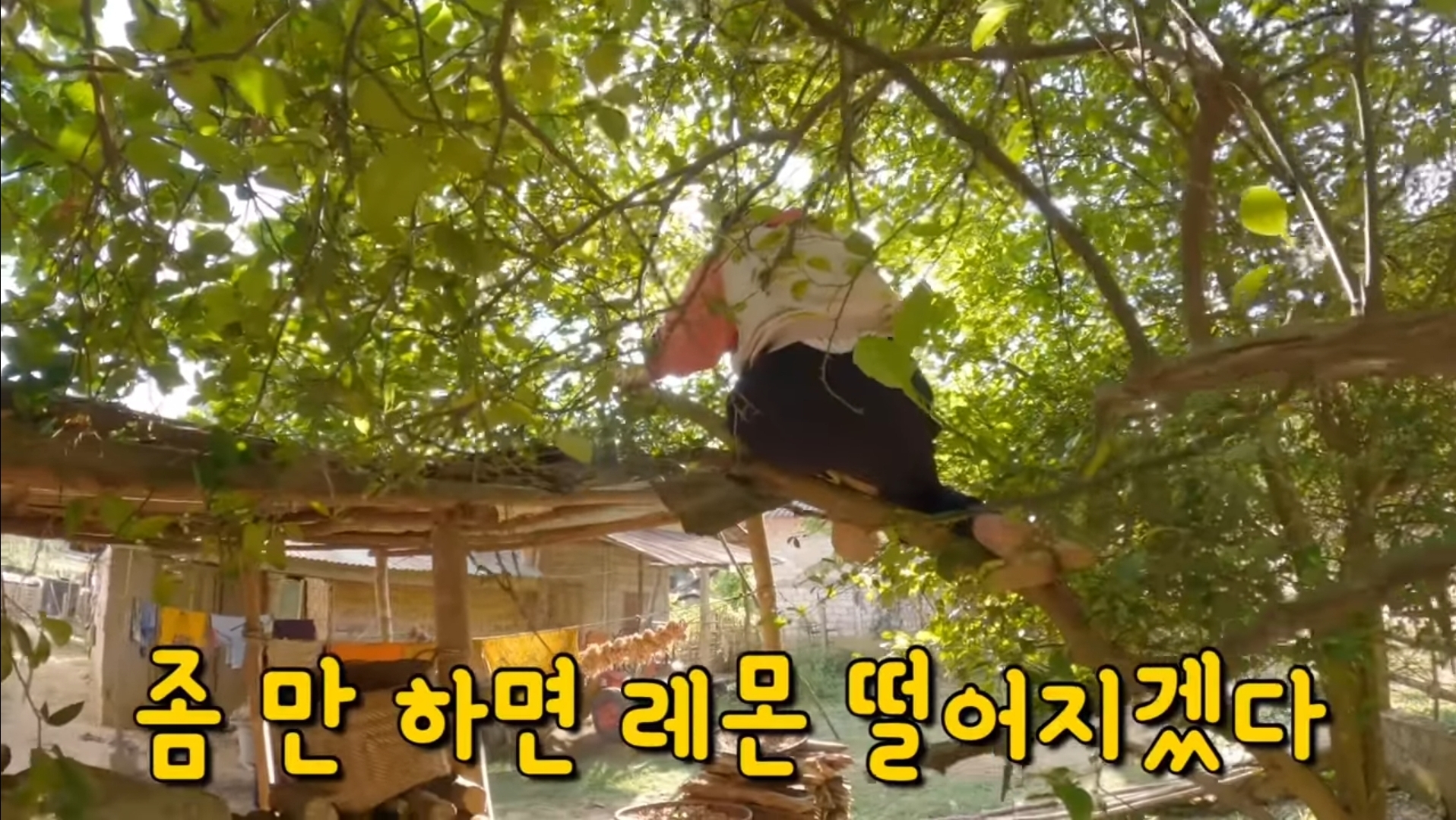 라오스 시골 고3 브이로그 | 인스티즈