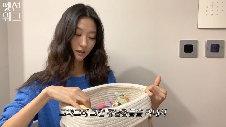 집사들 고양이 장난감 왤케 많이 사는거야 | 인스티즈