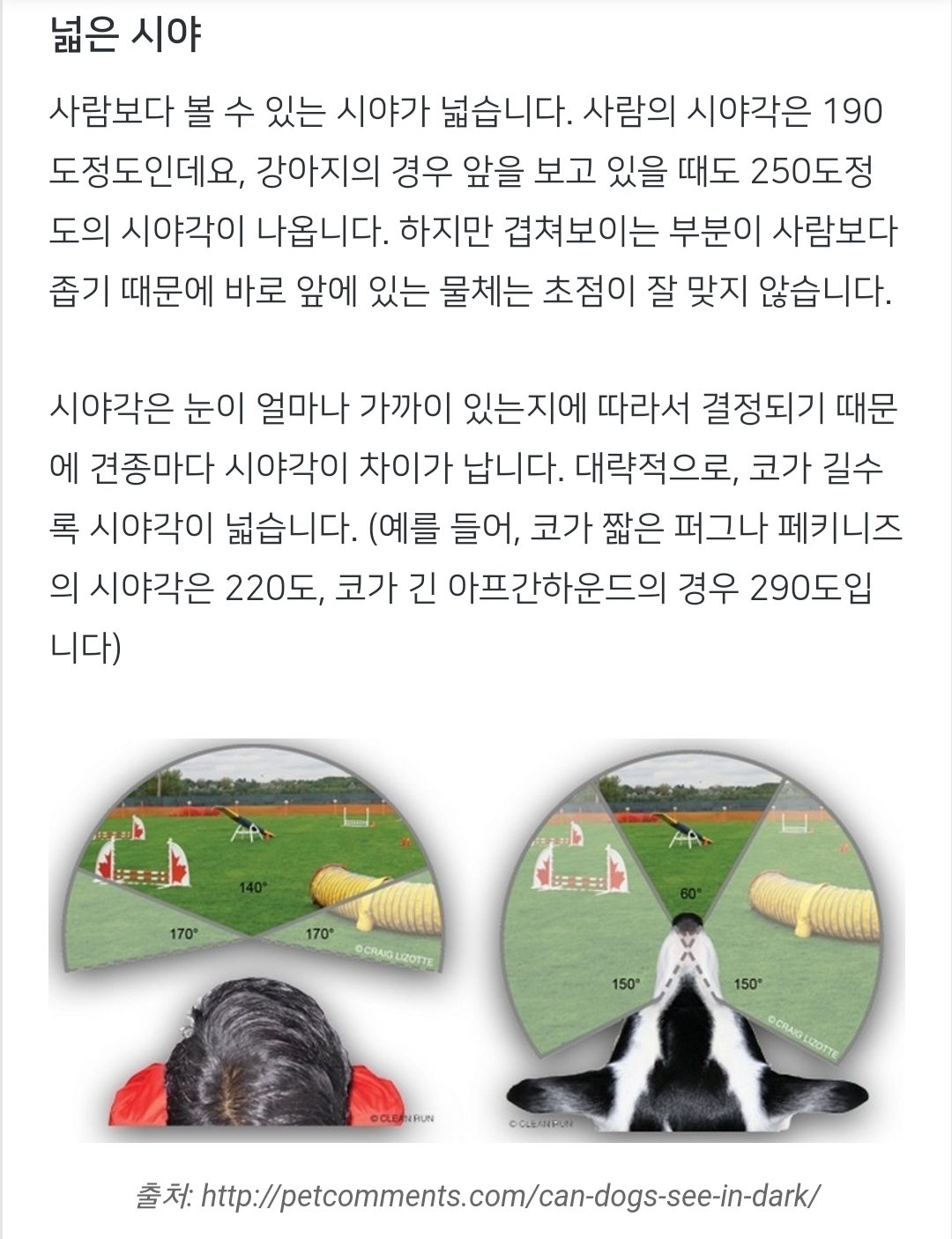 강아지는 진짜 색맹일까?🐶.jpg | 인스티즈