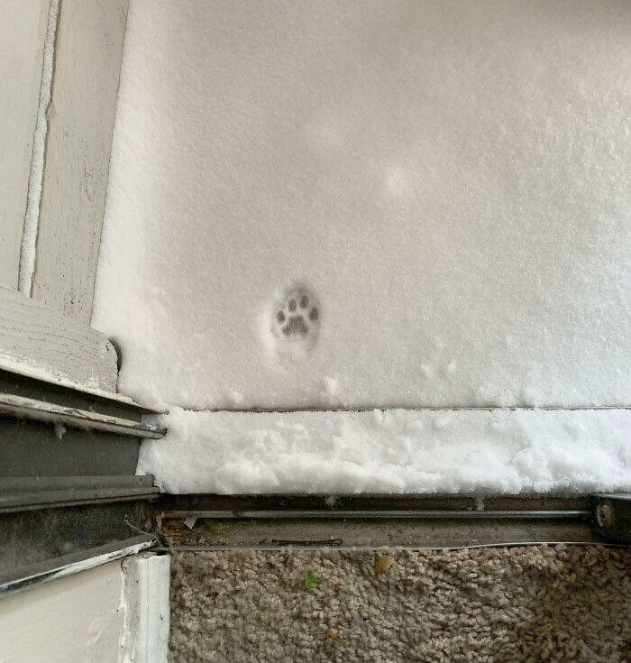 천 마디 말보다 가치 있는 사진들 모음 | 인스티즈