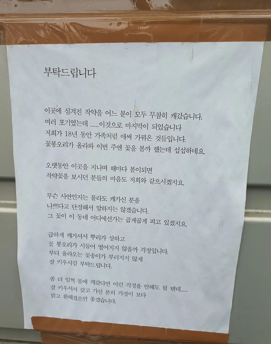 18년간 키운 작약을 훔쳐간 인간에게 쓴 편지 | 인스티즈