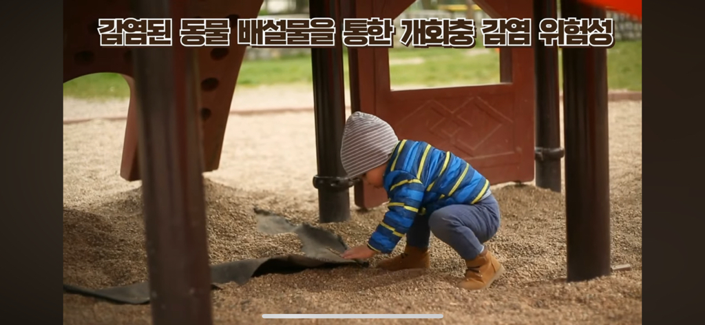 알레르기 내과의사가 절대 먹지않는 부위 | 인스티즈