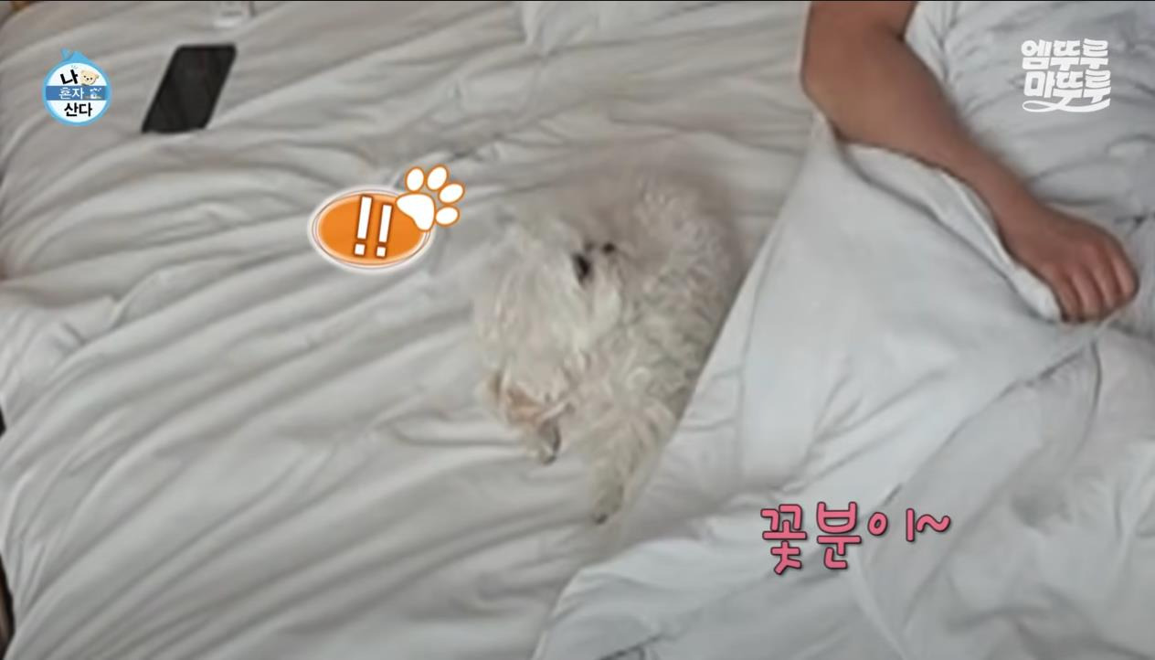 [나혼자산다] 정말 행복해 보이고, 낭만 미친 거 같은 구성환의 부산 한 달 살기 | 인스티즈