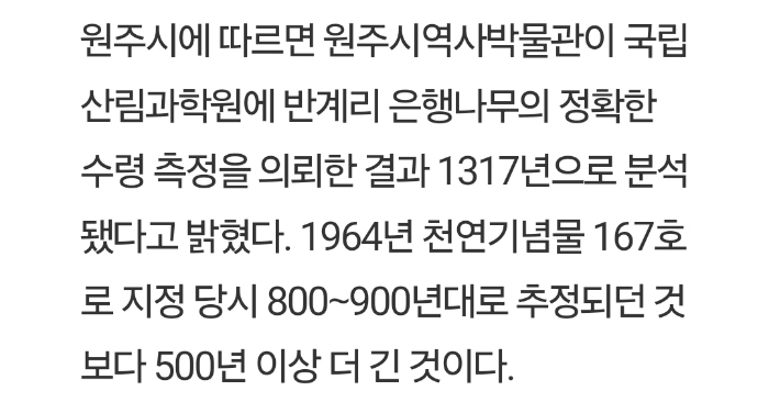 나무가 너무 영험하게 생겨서 붙여진 경고문 | 인스티즈