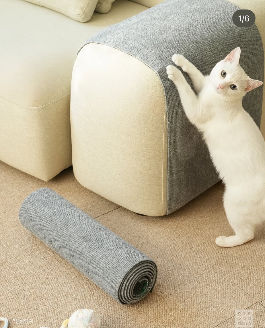 다이소 펫 용품 신상.jpg | 인스티즈