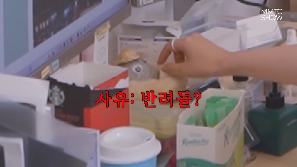 문명특급 구독자 감소 누구의 잘못인가? | 인스티즈