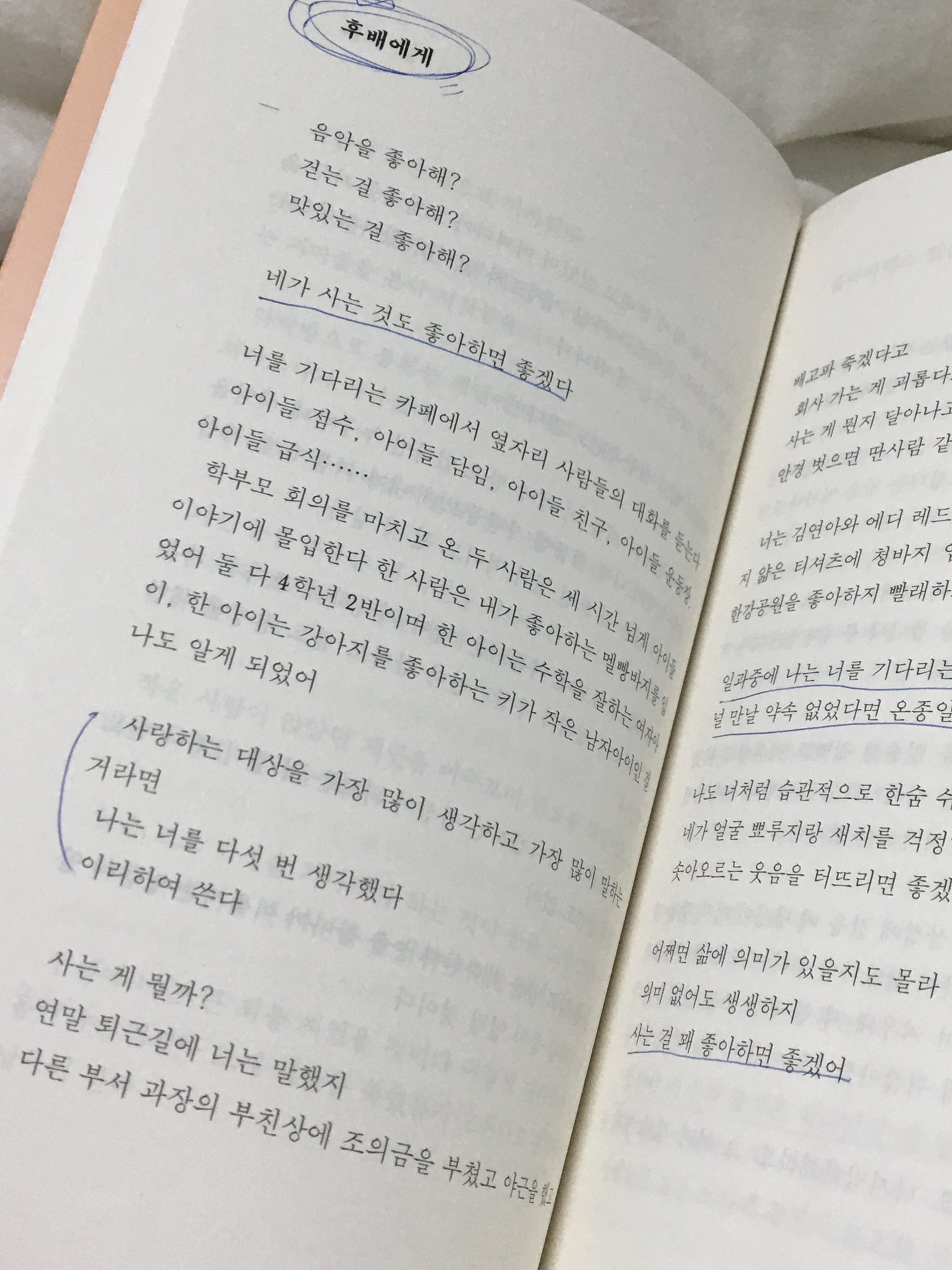 "읽고 처음으로 전율/감동한 시"는 무엇이었나요.twt | 인스티즈