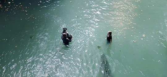 연락이 안되는 아빠가 걱정되서 집에 가봤더니 강아지가 지하실을 계속 응시하길래...gif | 인스티즈
