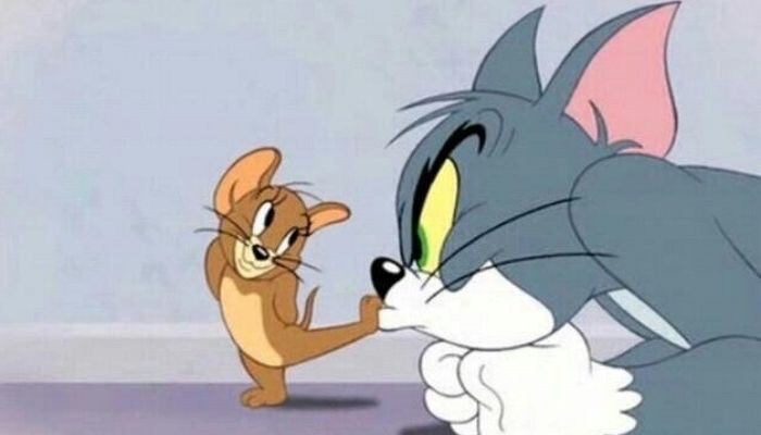 톰과제리 이미지