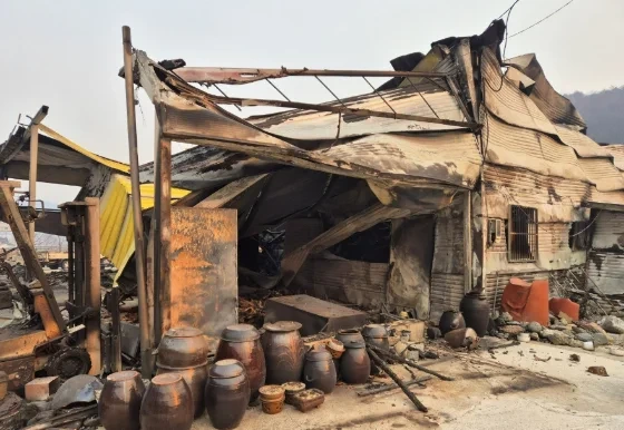 산불에 8일 못 씻은 할머니들, '목욕탕' 모셔갔더니… | 인스티즈