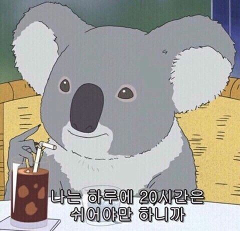 진짜 의외로 북한 라자루스한테 가상화폐 제일 많이 도둑맞은 나라 1위 | 인스티즈
