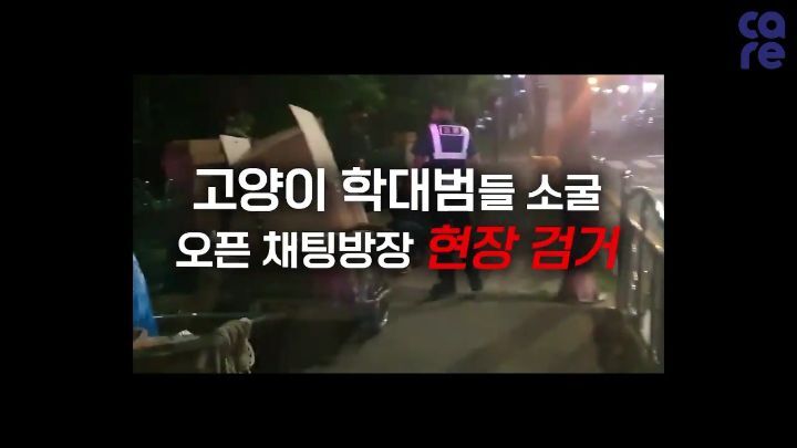 최대 길고양이 학대,살해 오픈카톡방 방장 현행 체포 (길냥이 사진 없음. 체포현장사진있음, 잔인한사진내용없으니꼭좀읽어주세요ㅠㅠ) | 인스티즈