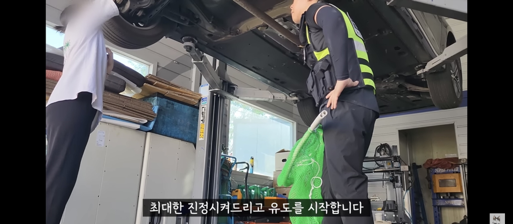 가족들 몰래 고양이를 갖다버린 아빠 | 인스티즈