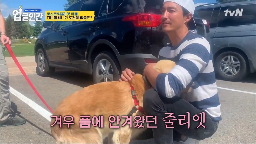 식용견 농장에서 구출된 다니엘 헤니의 강아지 로스코, 줄리엣 | 인스티즈