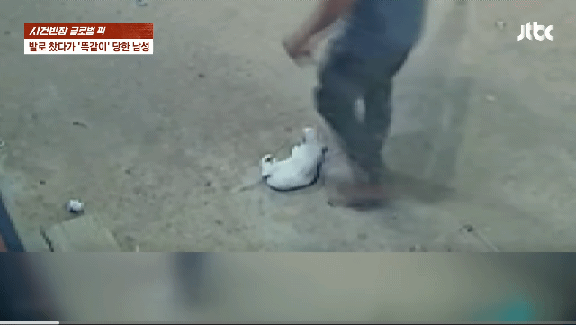 길고양이 발로 차는 남자를 목격한 상여자.gif | 인스티즈