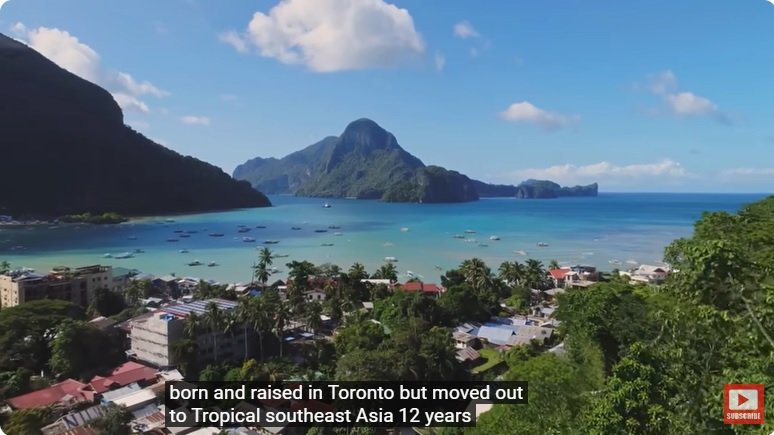 거대한 수조에 열대우림 환경을 조성해놓으면 생기는 일 - 3 | 인스티즈