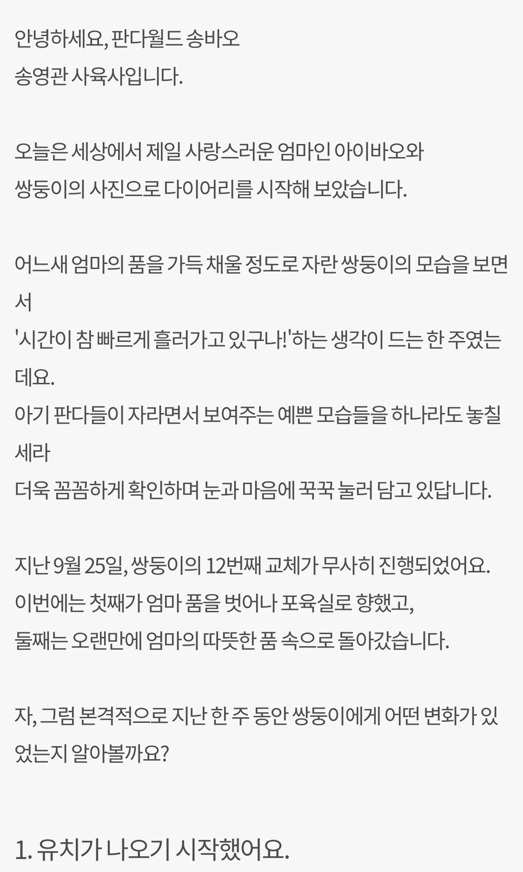 돼지만판다 이미지