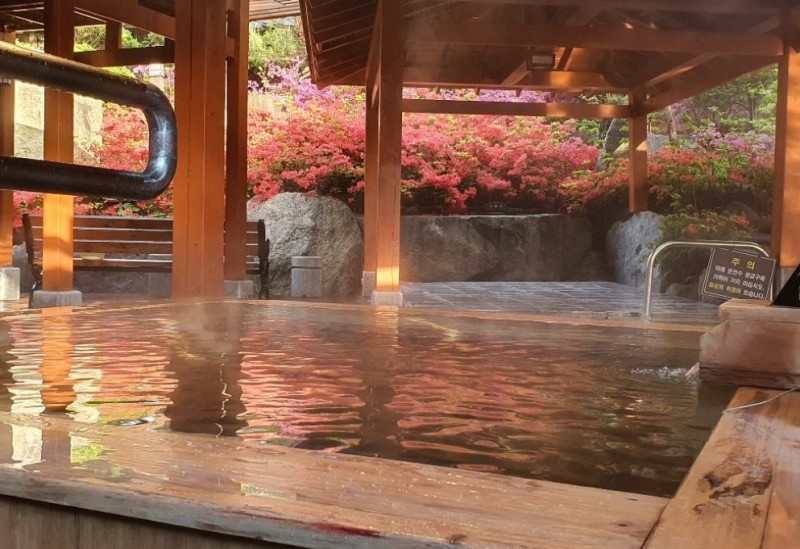 강릉과 비슷하게 한국 대표 관광도시 | 인스티즈