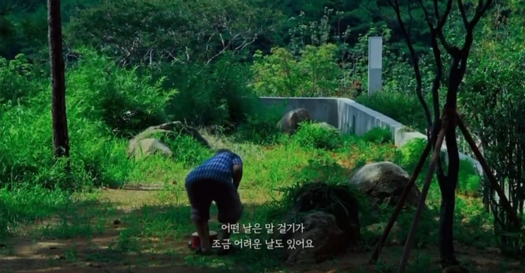 집에서 극우들 난동을 매일 마주했던 문재인 대통령 | 인스티즈
