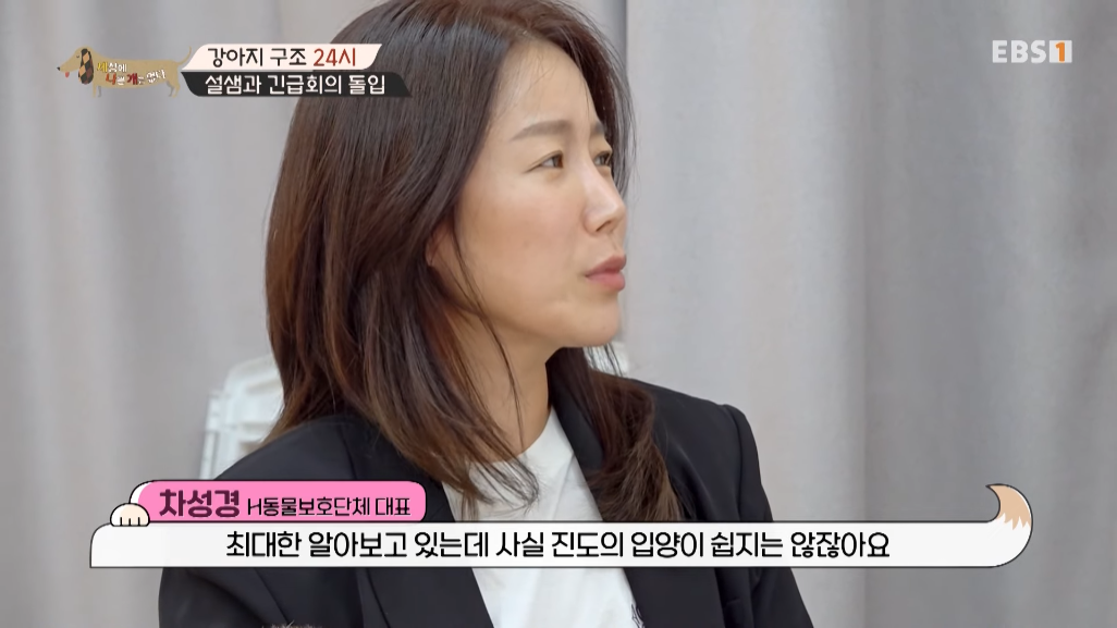 썩은물을 마시던 진돗개 가족을 입양한 배우 | 인스티즈