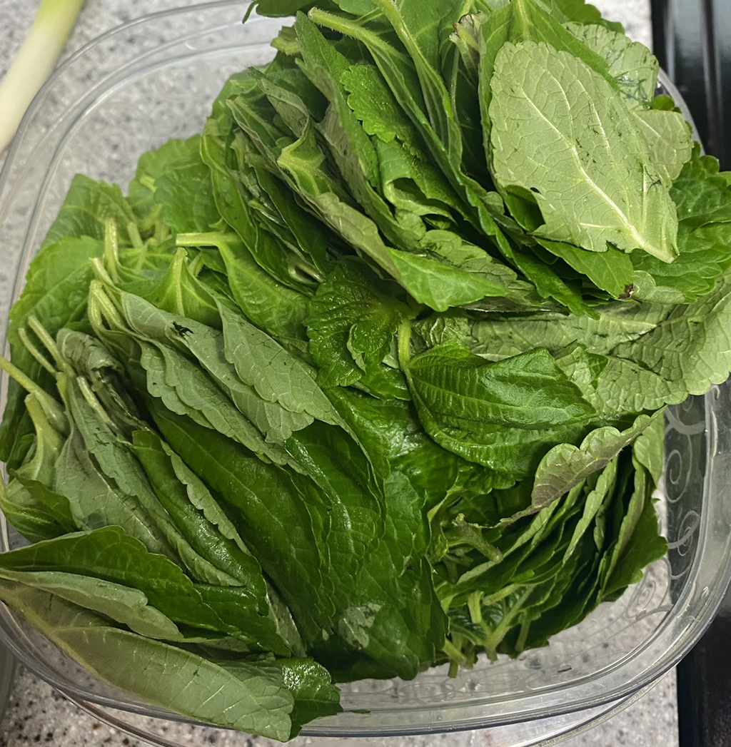 이것저것 다 섞어먹는 나 | 인스티즈