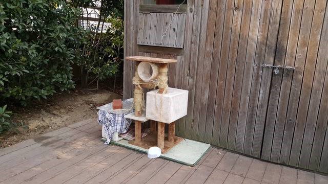 공사장에 고양이가 돌아다녀서 화가난 아저씨들 | 인스티즈