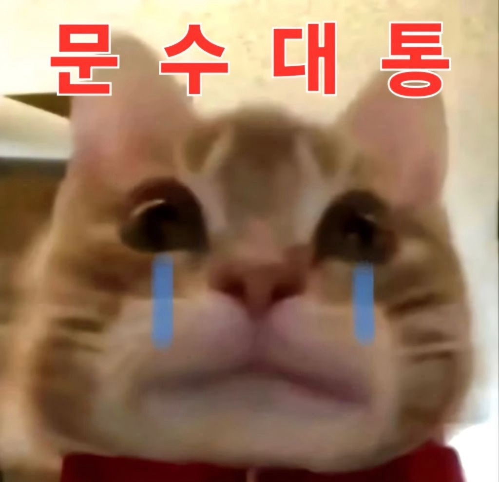 많이들 궁금해하는 소드는 왜 본인들을 고양이로 그리는지에 대한 답 | 인스티즈