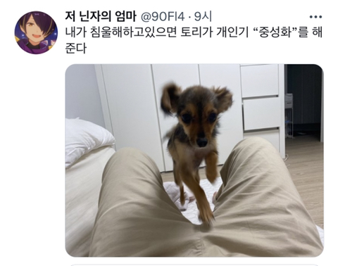 내가 침울해 하고 있으면 -가 -해준다 .twt | 인스티즈