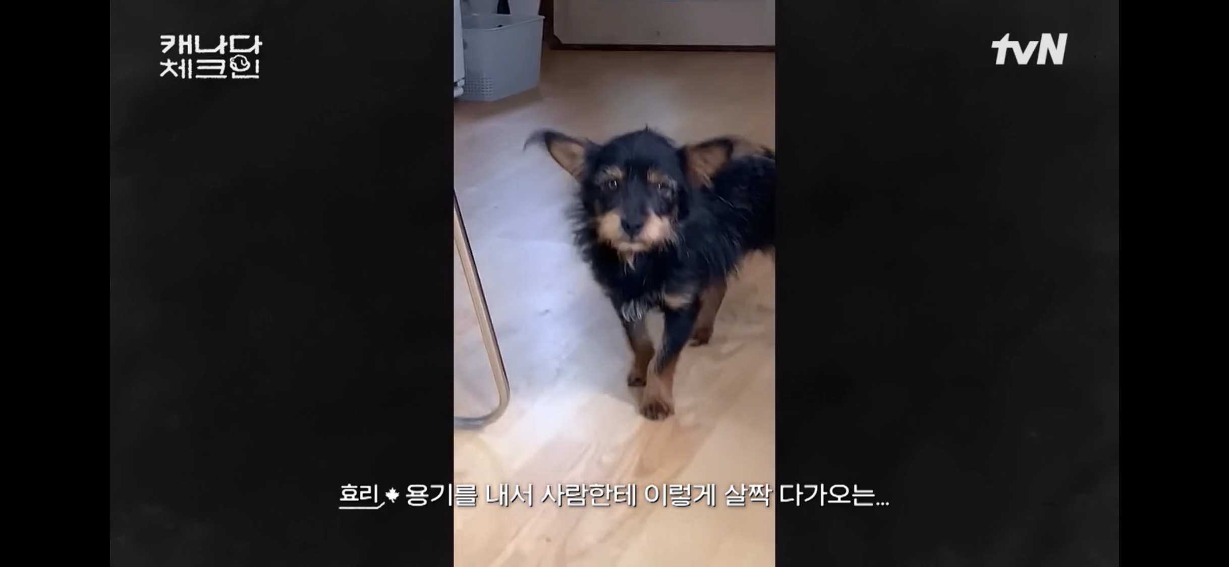 초조하게 누군가를 기다리는 이효리 | 인스티즈